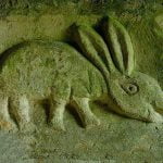Engraved-Rabbit