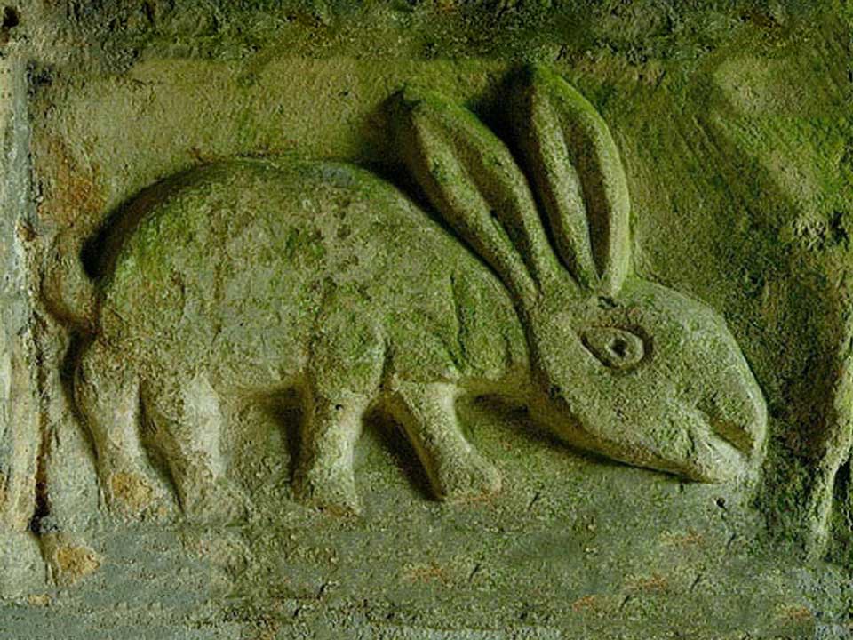 Engraved-Rabbit