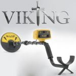 viking-wasp