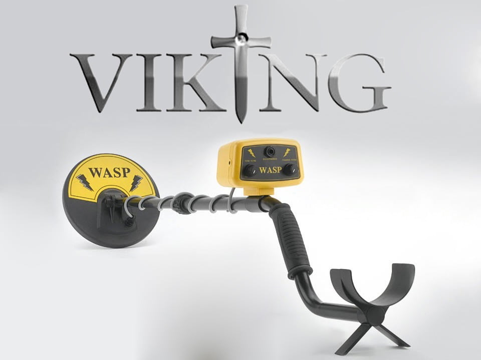 viking-wasp