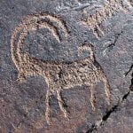 Goat-Carving